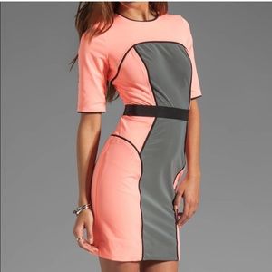 MILLY dress! Really high quality! Gorgeous pink color with reflective middle!